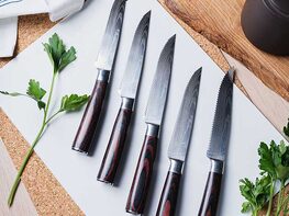 Seido™ Serrated Steak Knives: Set of 5