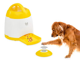Arf Pets Memory Training Puzzle Toy